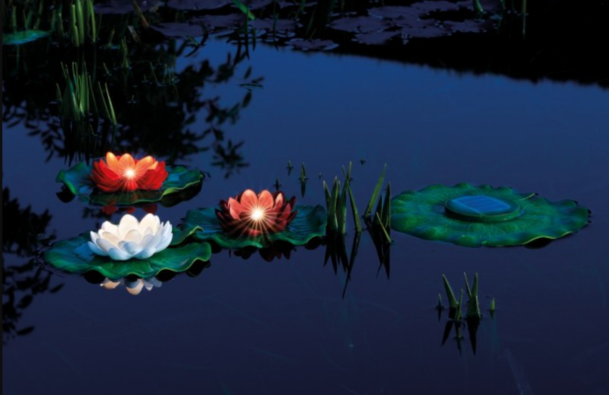 Pontec PondoSolar Lily LED Set 3