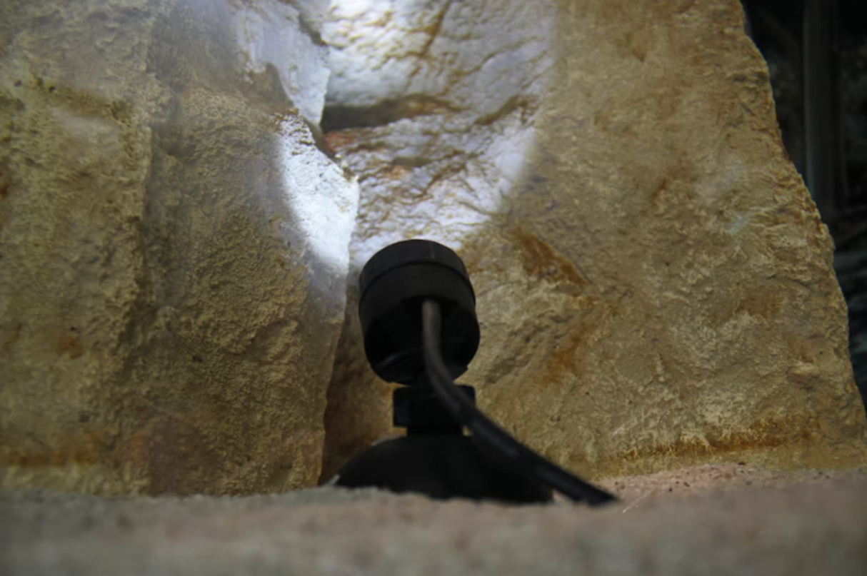 Pontec Teich- und Gartenbeleuchtung PondoStar LED Set 6