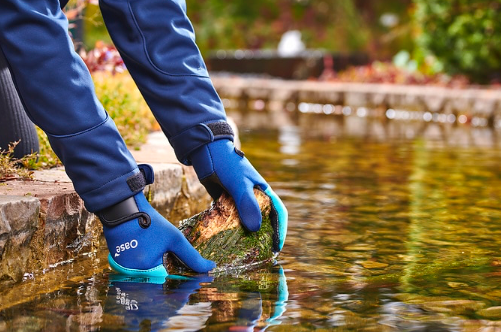Oase Neopren Teichhandschuhe im Einsatz bei Arbeiten im Gartenteich
