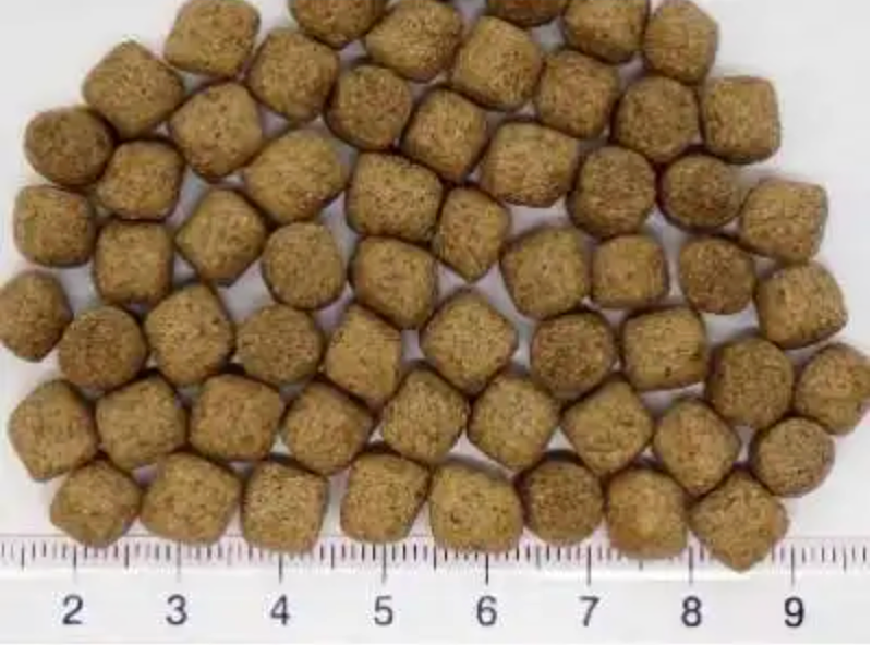 Sakai Hikari N-20 Sinking