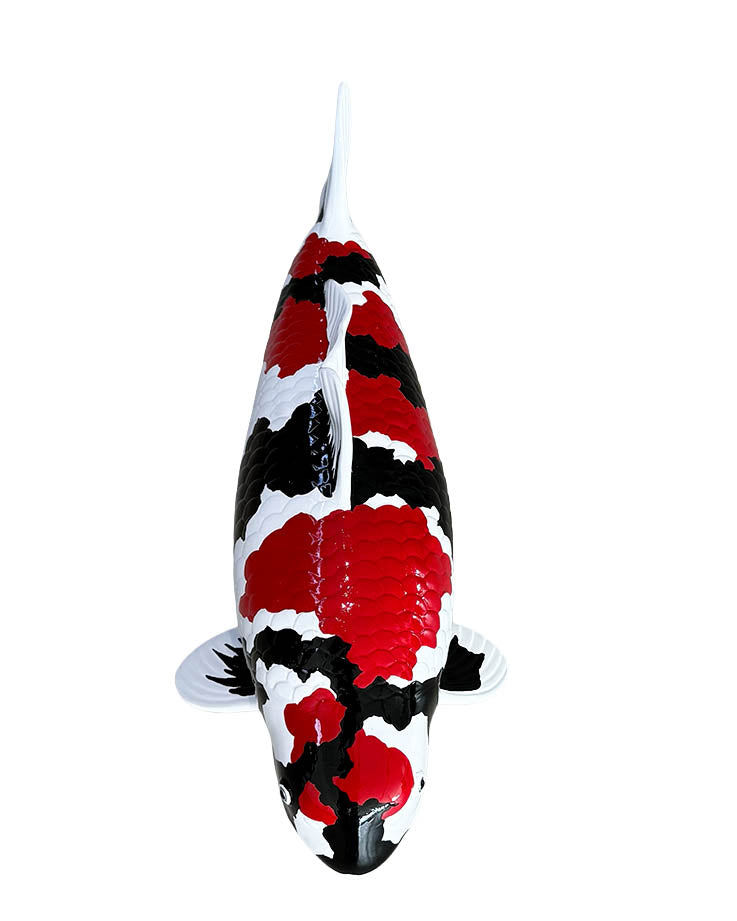 Limitierte Koi Figur Showa – handbemalte Koi Figuren stilvolle Teich- & Gartendekoration