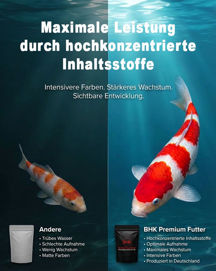 Koi Futter Vergleich vorher nachher mit besserem Wachstum und intensiveren Farben