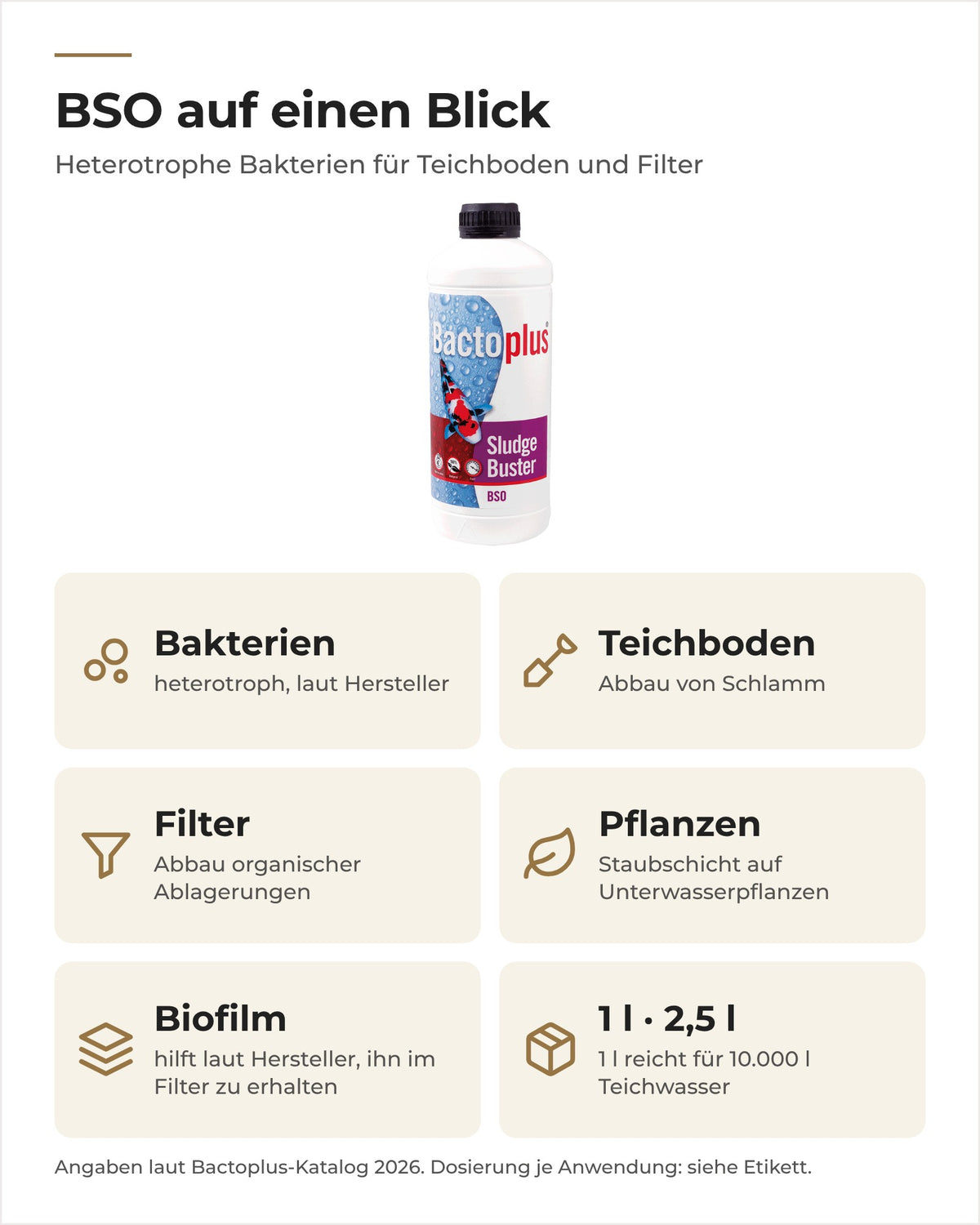 Bactoplus BSO Sludge Buster auf einen Blick: Abbau von Schlamm am Boden, im Filter und auf Pflanzen