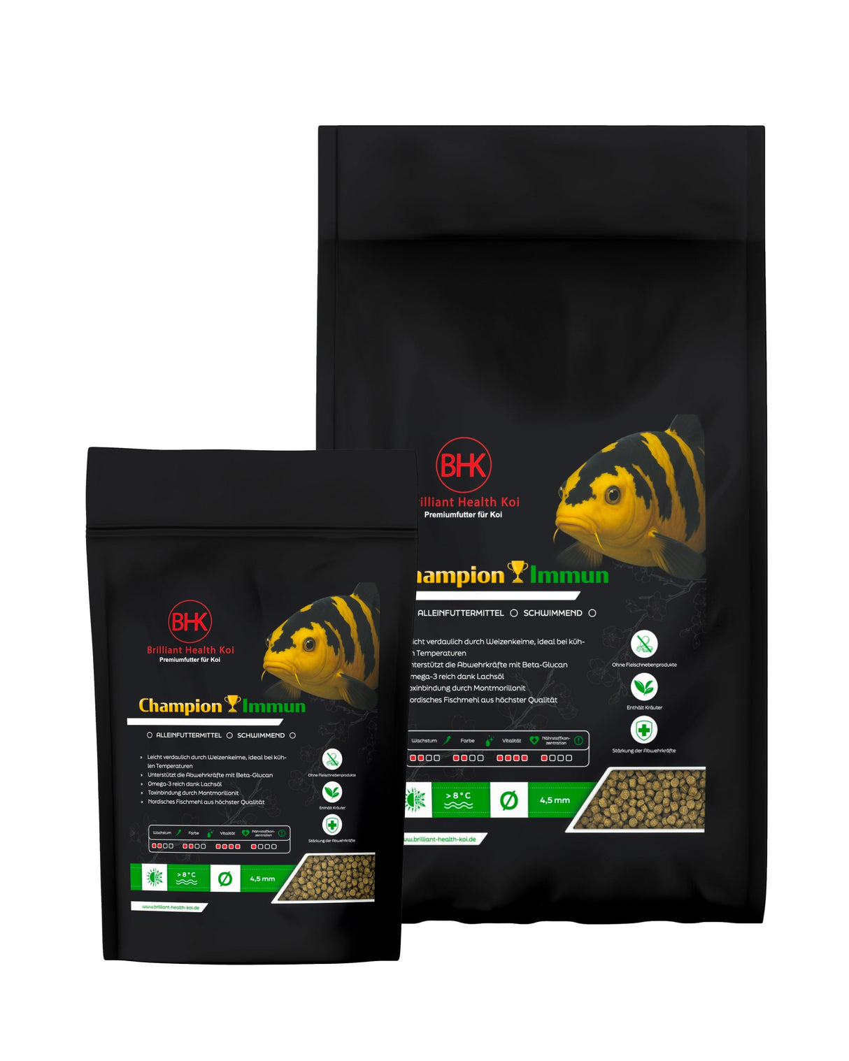 BHK Champion Immun swimming