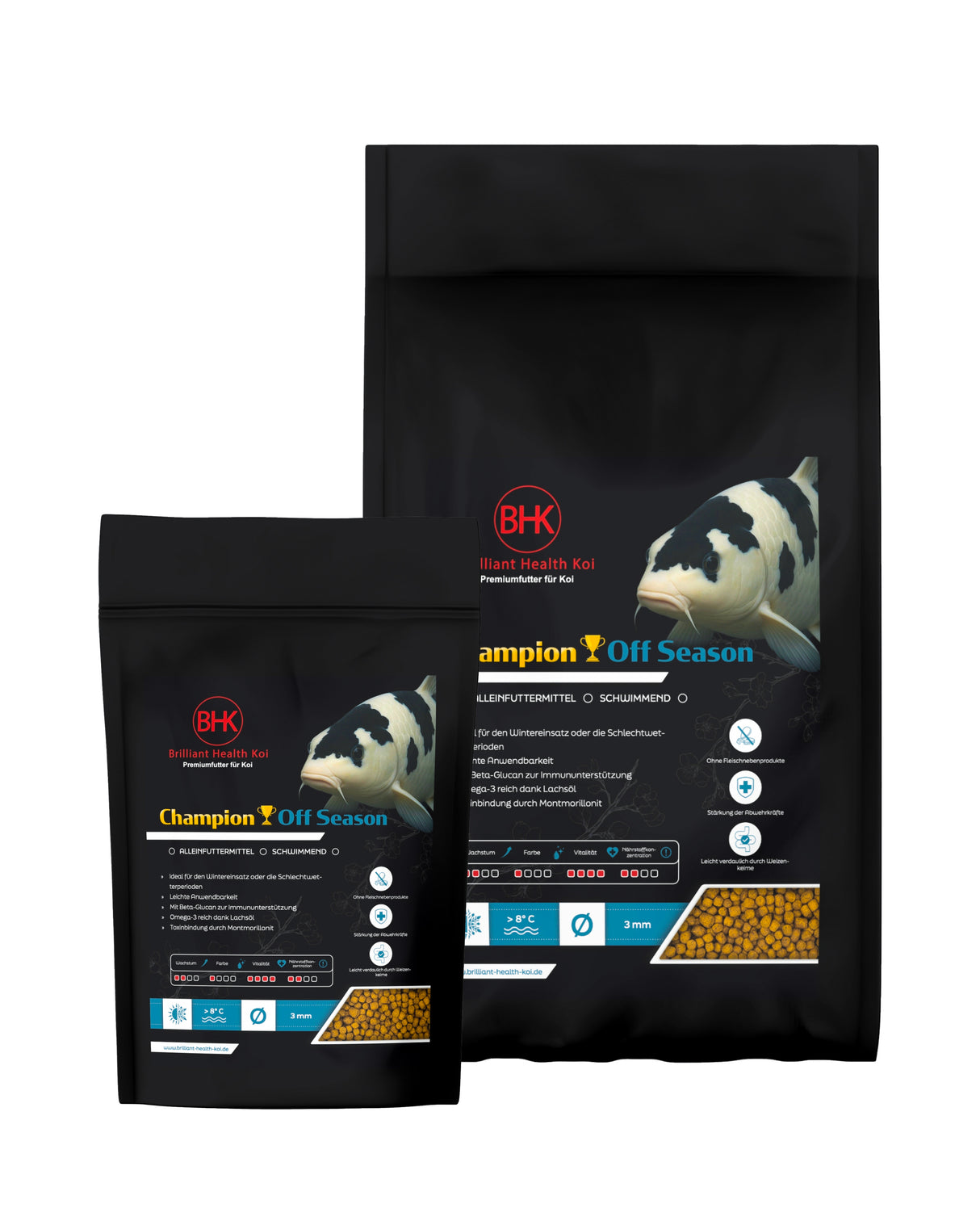 BHK Champion Off Season swimming