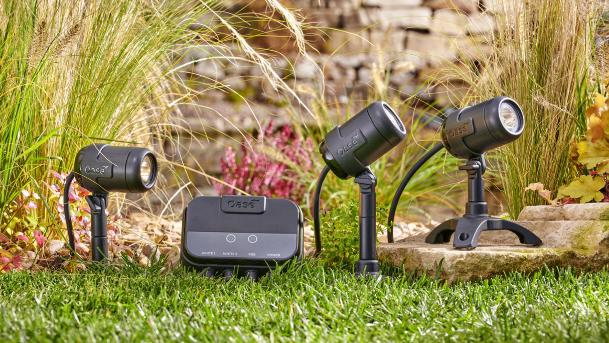 LED Teichstrahler Set mit mehreren Spots und Controller im Garten installiert zwischen Pflanzen