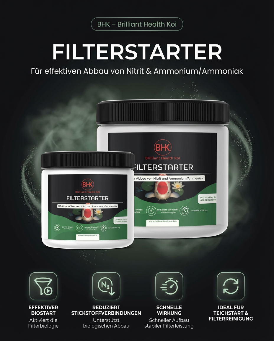 BHK Filterstarter – biologischer Filterstart für klares Teichwasser