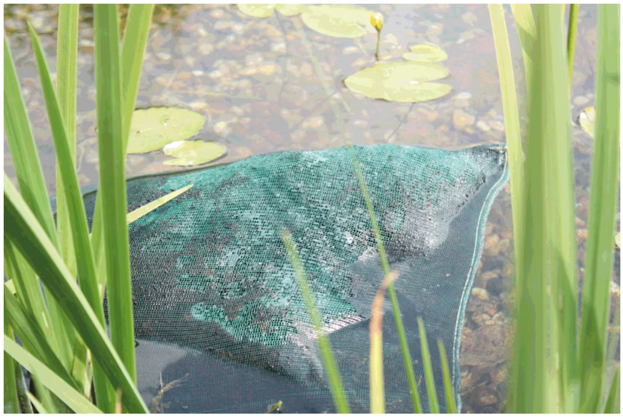 Anwendung von Oase AquaActiv AquaHumin im Gartenteich zur natürlichen Stabilisierung des Teichmilieus und Unterstützung klaren Wassers