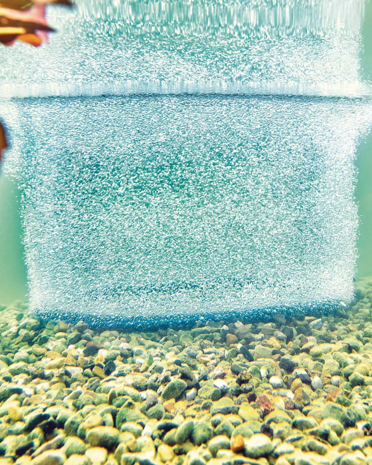 OASE AquaOxy Belüfterring unter Wasser: breiter Vorhang feiner Luftblasen über dem Kiesgrund