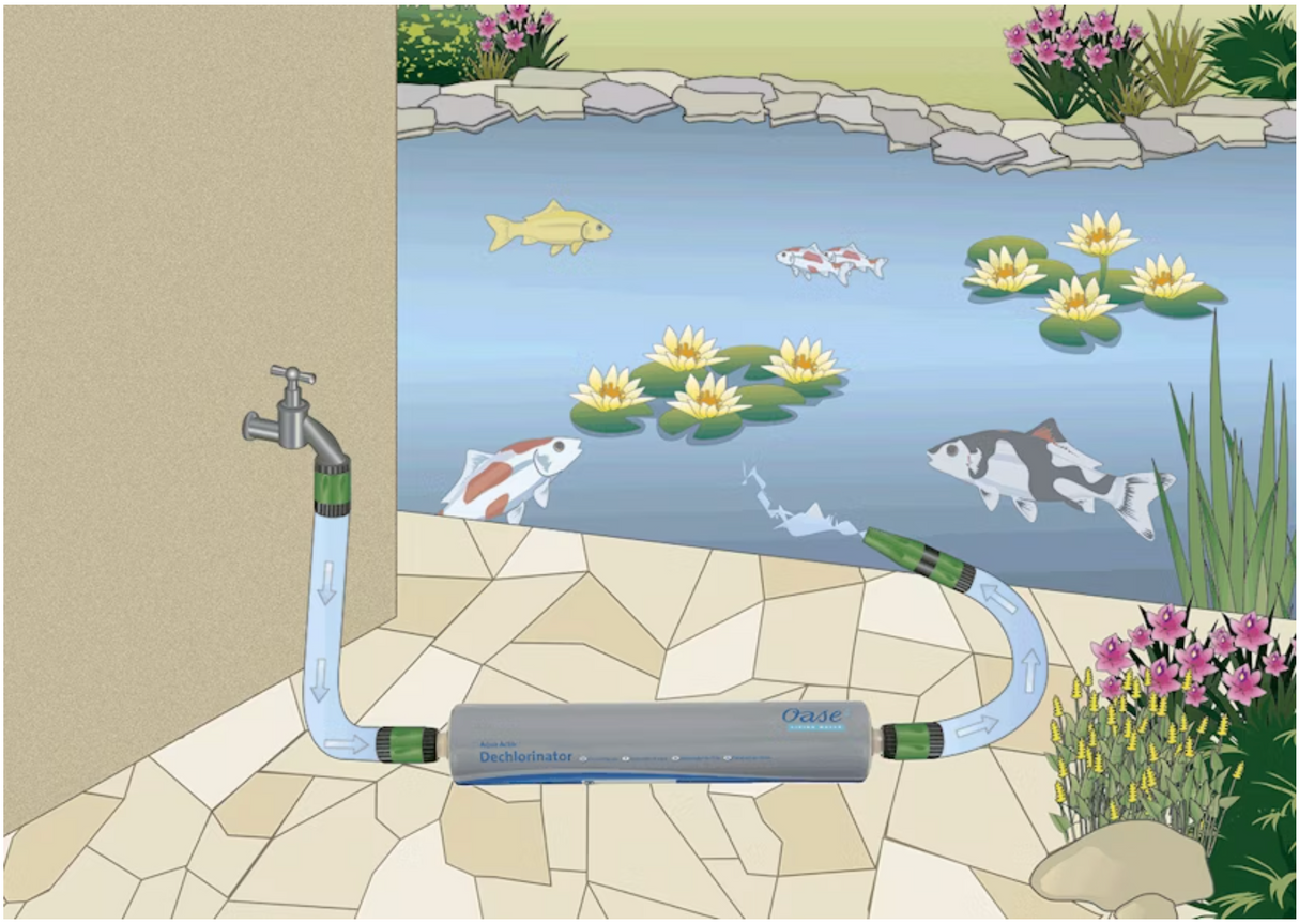 Oase Entchlorer Dechlorinator beim Wasserwechsel im Koi Gartenteich