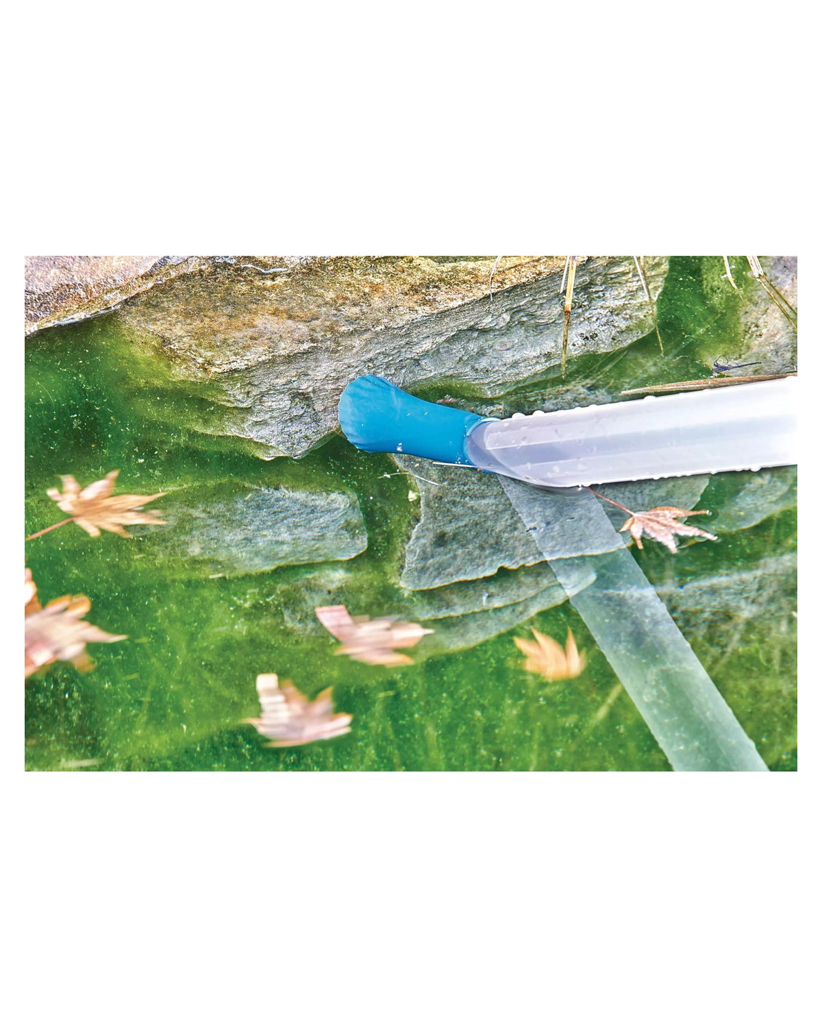 Transparentes Saugrohr des OASE PondoVac Classic mit Düse unter Wasser über Laub am Teichboden