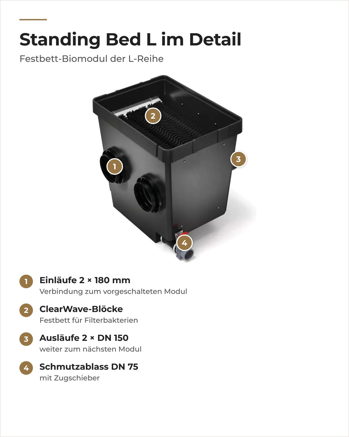 Aufbau des OASE ProfiClear Premium Standing Bed Modul L: Einläufe, ClearWave-Blöcke, Auslauf und Schmutzablass