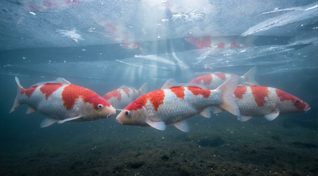 Winterpflege ohne Stress - das ist wirklich wichtig 🔁 ❄️