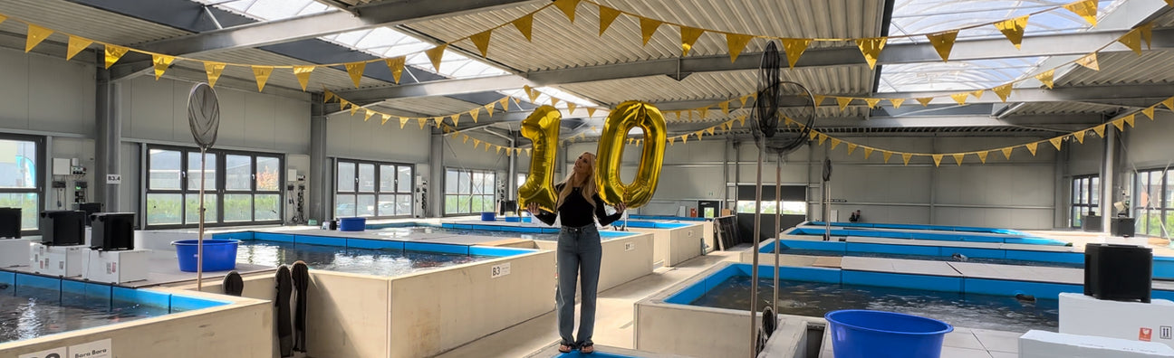 10K Follower x 10 Jahre Koi-Area