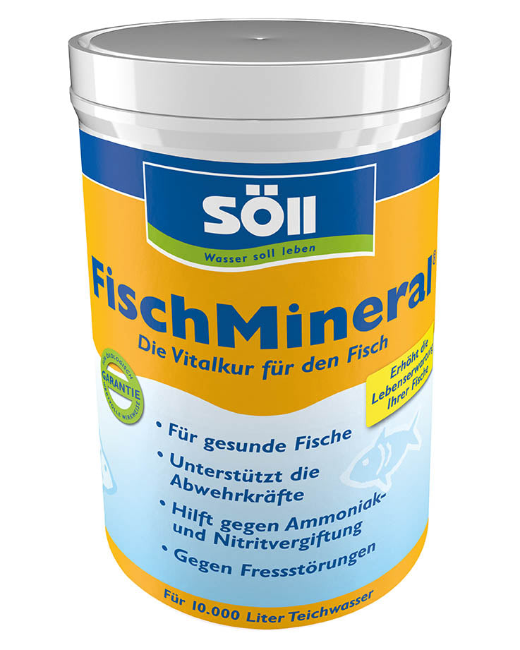 Söll FischMineral