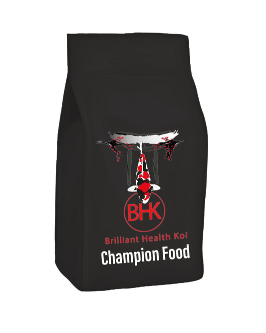BHK Champion Food