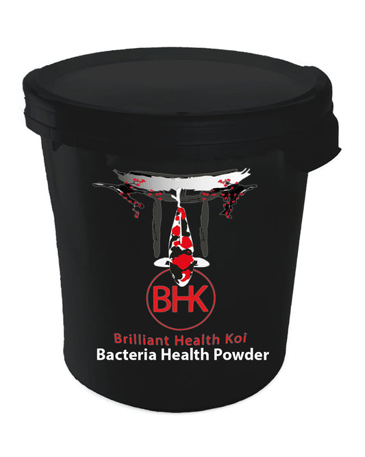 BHK Bacteria Health Powder / dried lactic acid bacteria