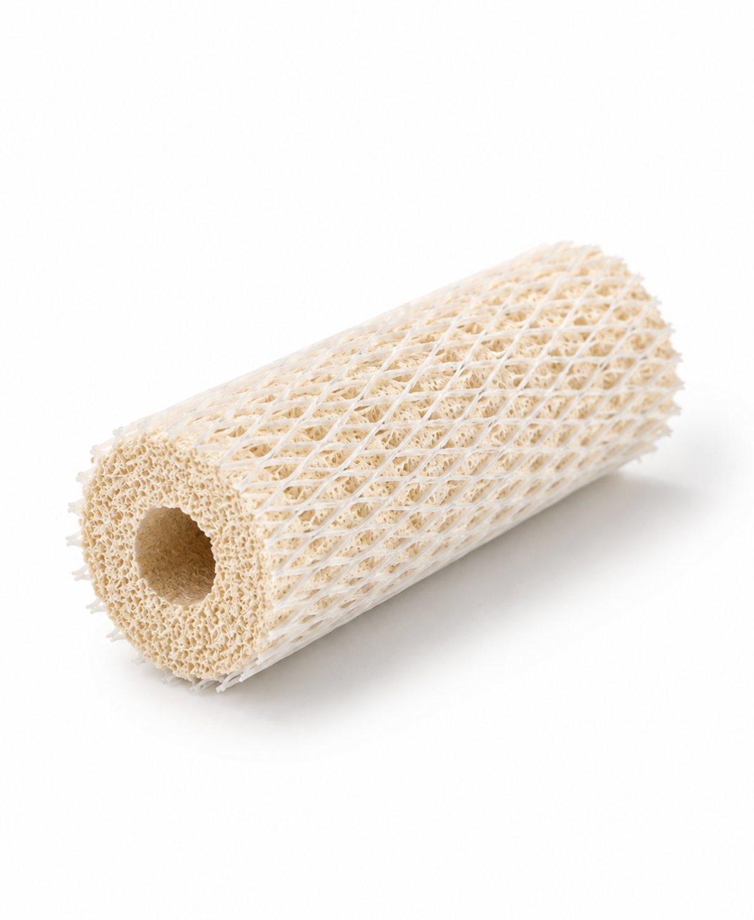 BHK Bacteria Home Spiralen