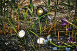 Pontec Teich- und Gartenbeleuchtung PondoStar LED warm Set 3