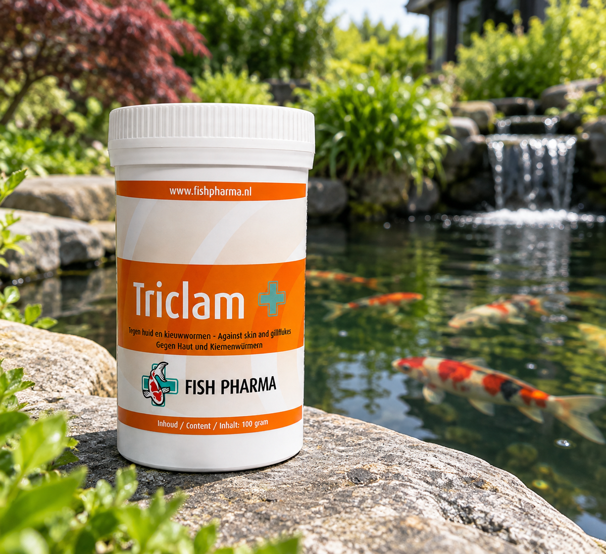 Triclam Plus 100 g