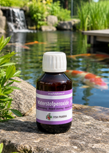 Wasserstoffperoxid 3 % 100 ml