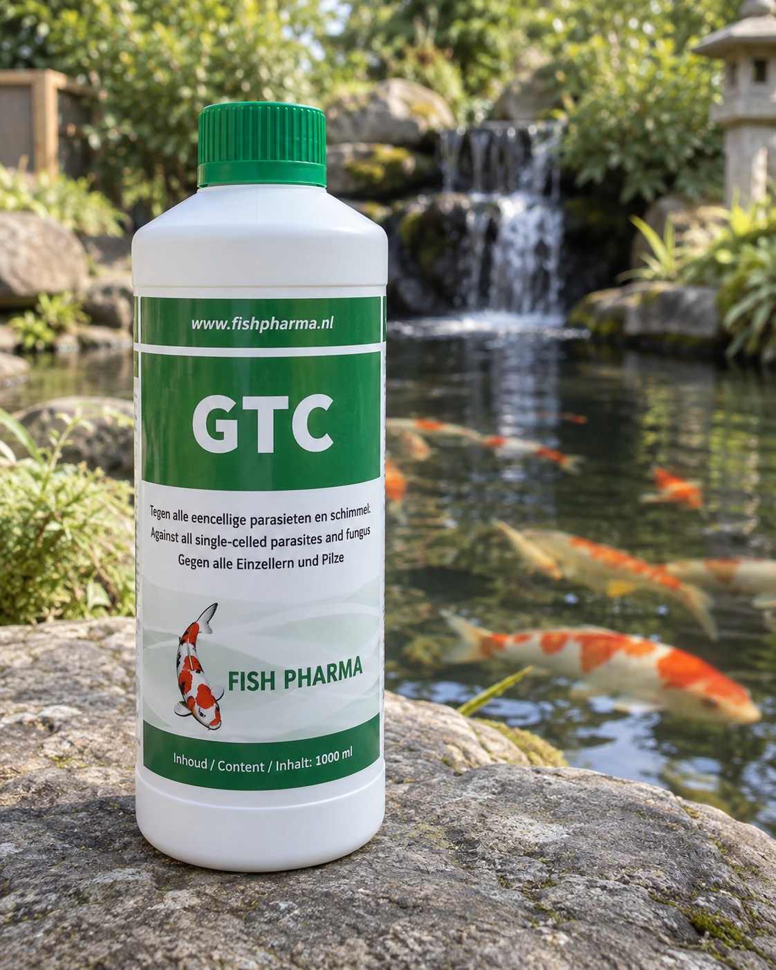 GTC – Teichbehandlung für Koi