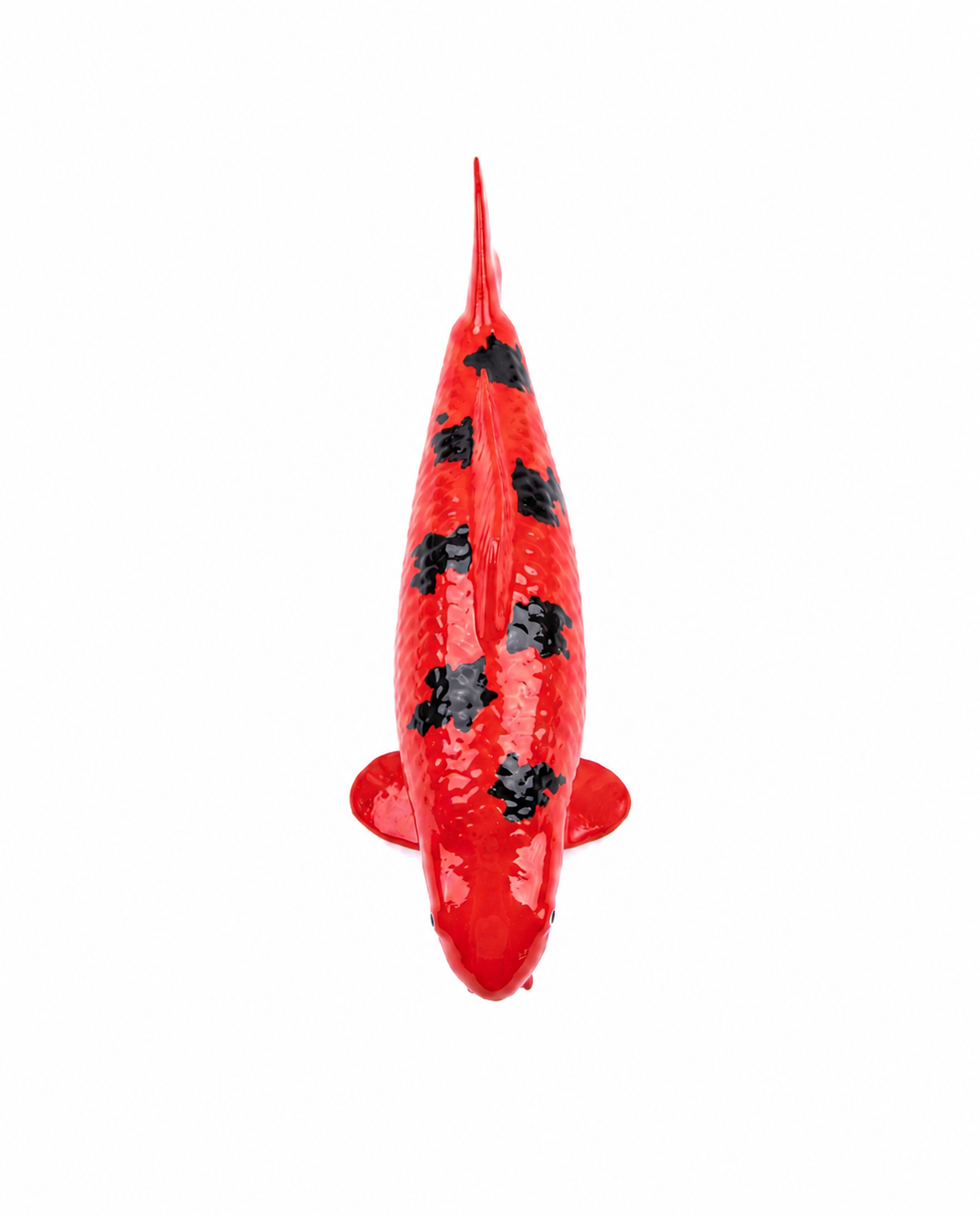 Limitierte Koi Figur Aka Bekko – handbemalte Koi Figuren stilvolle Teich- & Gartendekoration