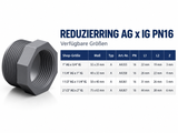 PVC Reduzierring Außengewinde x Innengewinde PN16