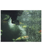 Oase SwimSkim 25 Oberflächenabsauger