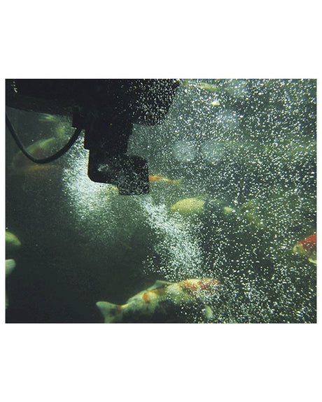 Oase SwimSkim 25 Oberflächenabsauger