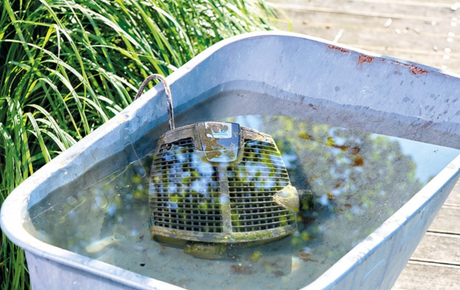 Oase AquaActiv PumpClean Teichpumpenreiniger zur schonenden Reinigung von Teichpumpen, Sieben und Quarzgläsern Vorher Bild