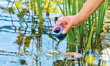Oase AquaActiv Safe & Care 500 ml Wasseraufbereiter zur Aufbereitung von Leitungswasser im Gartenteich