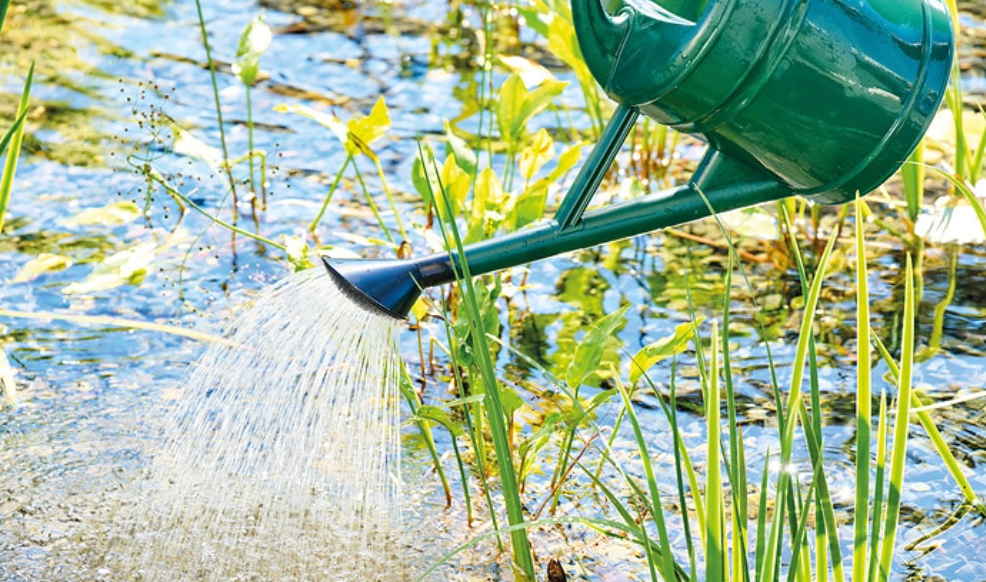 Dosierung von AquaActiv AlGo Greenaway mit Messbecher
