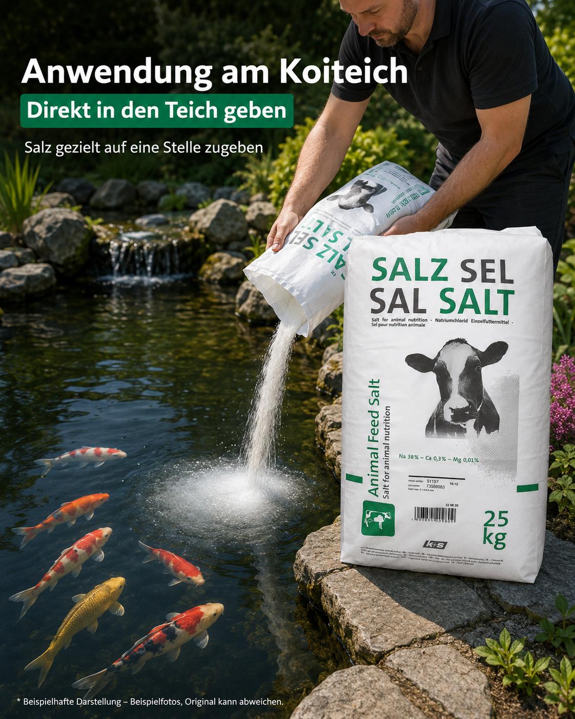 Stein-/Vieh Salz Natur