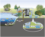 Einbauschema Oase PhosLess Flow 3000 im Teichfiltersystem zur Reduzierung von Phosphat im Koi- und Gartenteich