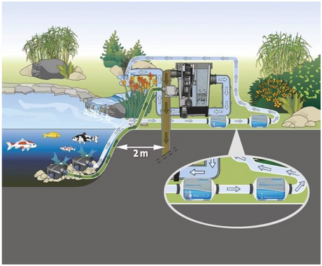 Einbauschema Oase PhosLess Flow 3000 im Teichfiltersystem zur Reduzierung von Phosphat im Koi- und Gartenteich