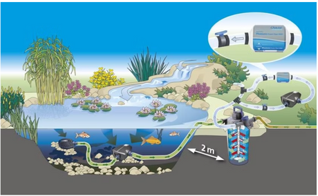 Einbauschema Oase PhosLess Flow 3000 im Teichfiltersystem zur Reduzierung von Phosphat im Koi- und Gartenteich