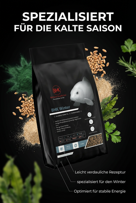 Koi Winterfutter für optimale Verdauung und Energie bei kalter Saison im Teich