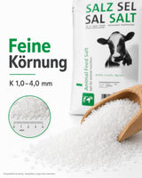 Stein-/Vieh Salz Natur