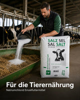Stein-/Vieh Salz Natur