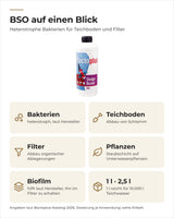 Bactoplus BSO Sludge Buster auf einen Blick: Abbau von Schlamm am Boden, im Filter und auf Pflanzen