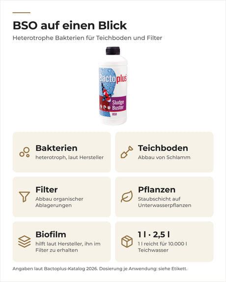 Bactoplus BSO Sludge Buster auf einen Blick: Abbau von Schlamm am Boden, im Filter und auf Pflanzen