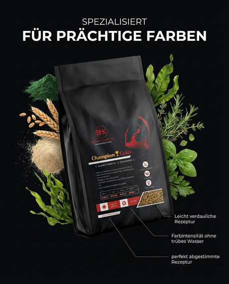 BHK Champion Color Koi Futter für prächtige Farben und Farbintensität