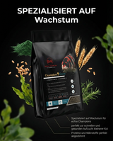 BHK Champion Grow Koi Futter für schnelles und gesundes Wachstum