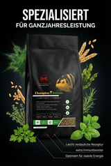 BHK Champion Immun Koi Futter für Ganzjahresleistung und starke Vitalität