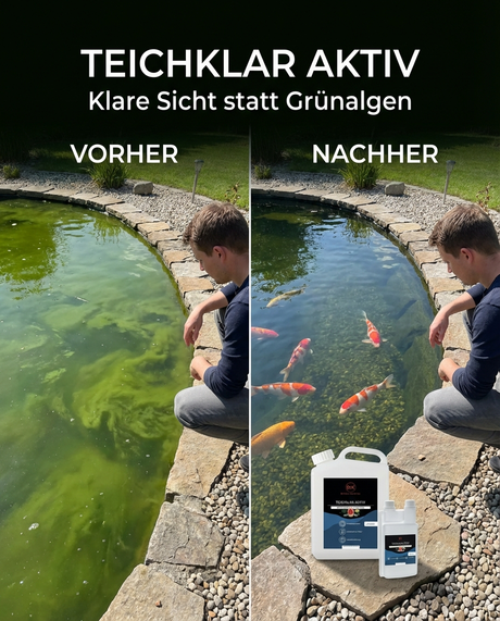 Vorher Nachher Vergleich Teichklar Aktiv gegen Grünalgen im Koiteich