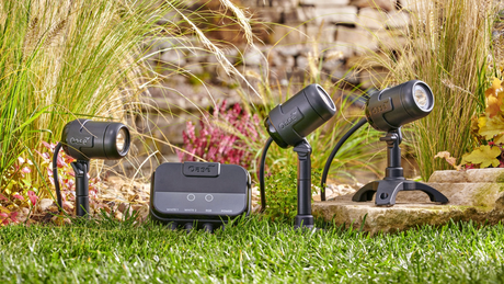 LED Teichstrahler Set mit mehreren Spots und Controller im Garten installiert zwischen Pflanzen