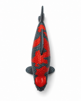 Goshiki Koi-Figur aus der Draufsicht – handbemalte Fischfigur mit kräftigem Rot und bläulich-grauer Schuppenzeichnung, detailreicher Struktur und markanter Optik als besondere Japan-Deko für Wohnbereich, Terrasse, Garten oder Teichbereich