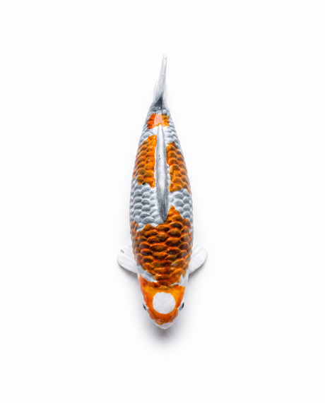 Handbemalte Kujaku Koi-Figur von oben mit orange-grauer Zeichnung und strukturierter Oberfläche.
