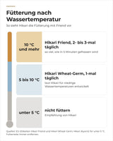 Hikari-Fütterung nach Wassertemperatur: Friend ab 10 °C, Wheat-Germ ab 5 °C, darunter nicht füttern